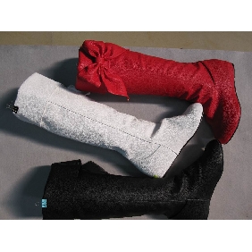 Fashion style in 2010 women's cloth dress boots