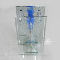 Wholesale Modern design transparent clear glass home decoration vase