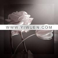 Wholesale white flower oil painting(yy-fb-40x40cm(35)