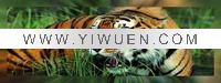 Wholesale tiger painting(yy-fb-30x90cm(11)