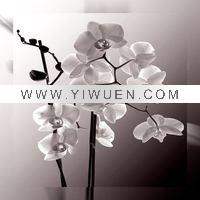 Wholesale european style canvas painting(yy-fb-40x40cm(22)