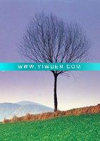 Wholesale Stretched canvas printing