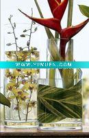 Wholesale Clear Cylinder Glass Vase/Glassware