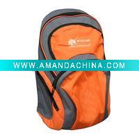 Wholesale 2010 new school bag