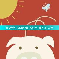 Wholesale Decorative Canvas Print Art