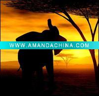 Wholesale art painting