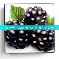 Wholesale grape painting