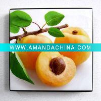 Wholesale apricot fruit painting
