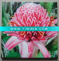 Wholesale printed flower canvas art