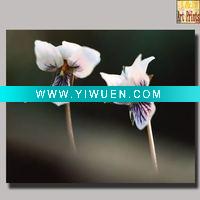 Wholesale High quality digital art printing on canvas