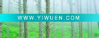 Wholesale printed on canvas, canvas prints, canvas printing
