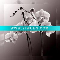 Wholesale flower painting on canvas(yy-fb-40x40cm(21)