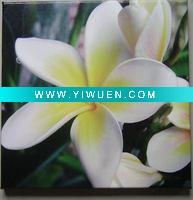 Wholesale white flower digital canvas
