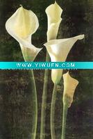 Flower painting canvas