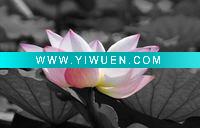 beautiful waterlilyart painting on canvas