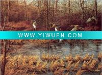 Wholesale digital prints on canvas, prints onto canvas, photo printed on canvas