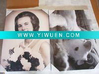 Wholesale Photo prints on canvas