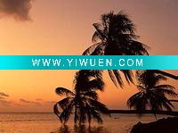 Wholesale art printing, canvas printing art, stretched canvas print