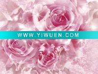 Wholesale decoration giclee prints on canvas