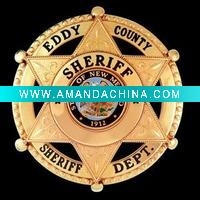 Wholesale 2011 Custom Metal Badge