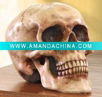 Wholesale Resin human skull decoration