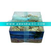 Wholesale Hot sell beach promotion seashells ,sea shell craft