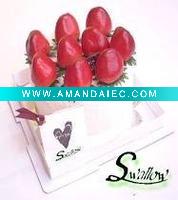 Wholesale gift towel