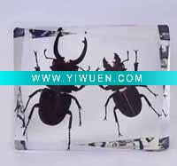 Wholesale special gift