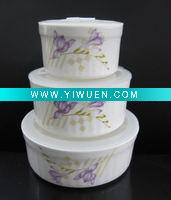 Wholesale fresh keeping box BTO3J61