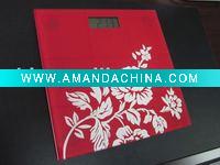 2011 HOT Sales Pocket Household Scale