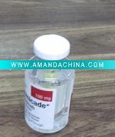 Wholesale bottle-shaped highlighter pen(fluorescent pen)