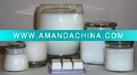 Wholesale Elegance Beach Wedding Decorative Candle
