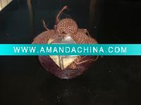 Wholesale winebottle shape scented candle/decorate candle as gift