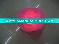 Wholesale Led Rose Light