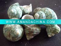 Wholesale art candle/gift candle/party candle