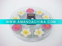 Wholesale set of 9 frangipani flower tealight candle with glass holder