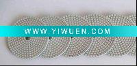Wholesale Dry and Wet Polishing Pad
