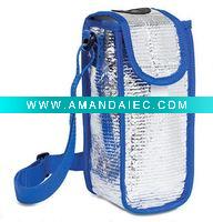 Wholesale sports cooler bag