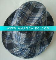 fashion plaid fedora of western design and blue color