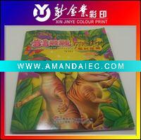 Wholesale Printed brochure for promotion