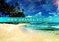 Wholesale Tshirt iron on heat transfers