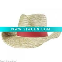 Wholesale 2011 new carnival hat/party/cowboy hat hatbsh-0766