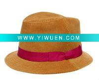 Wholesale 2011 new carnival hat/party/cowboy hat hatbsh-0771