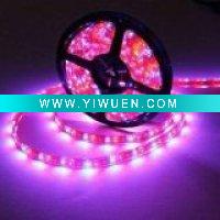 Wholesale 3528 Waterproof Flexible LED Strip