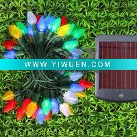 Wholesale Solar Garden Light (C7 Strawberry)