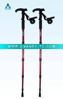 T Nordic walking stick