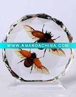 Wholesale insect desktop decoration