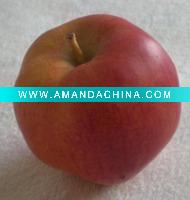 Wholesale artificial apple