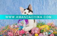 Wholesale easter bandana