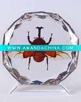 Wholesale crystal craft